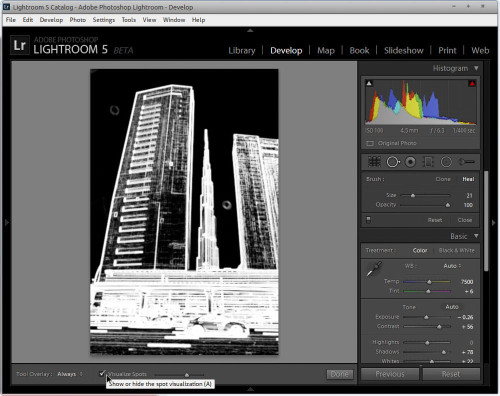 Spot Visualization