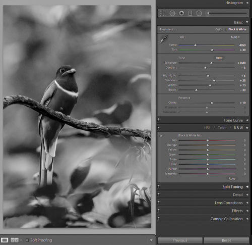 Convert to B&W, not optimal