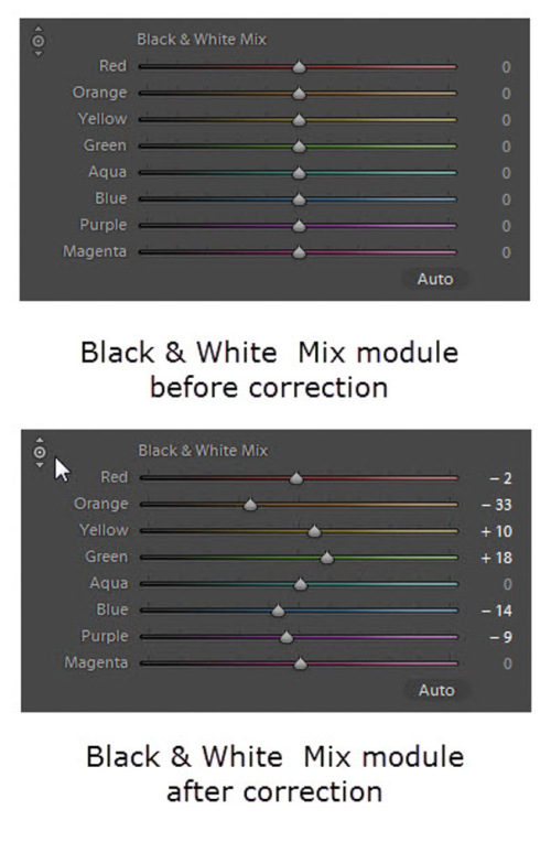Black and white mix and target adjustment tool