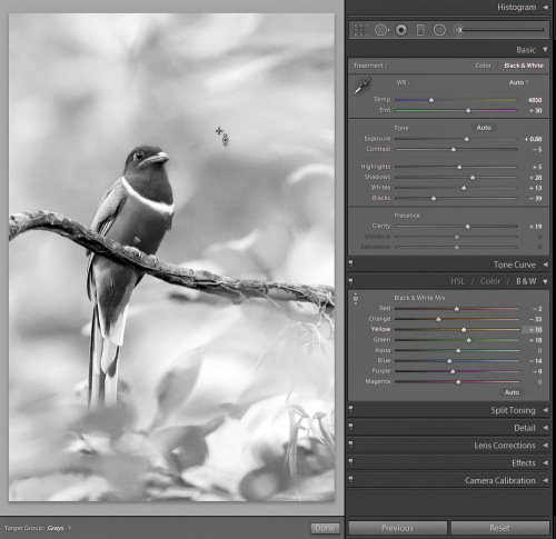 Using selective color under target adj tool