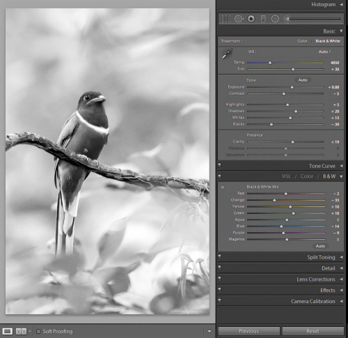 Final black and white result