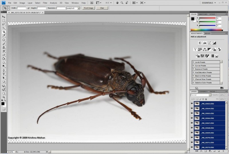 Click to enlarge After Auto-Aligning Layers