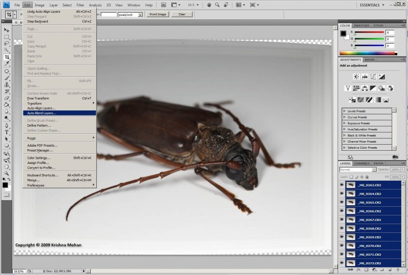 Click to enlarge Auto-Blend Layers
