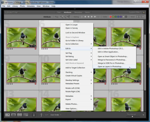 Click to enlarge Open as layers in Photoshop