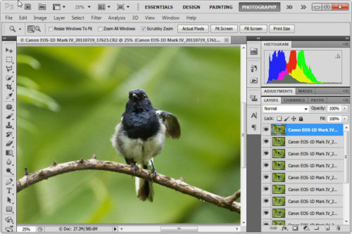 Click to enlarge Photoshop with photos exported as layers