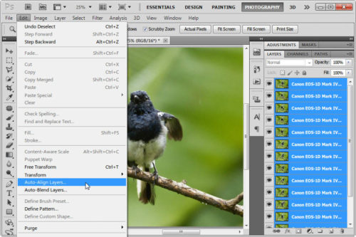 Click to enlarge Auto Align Layers