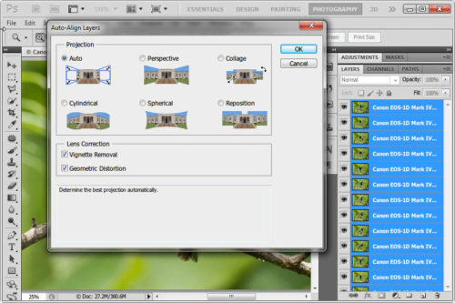 Click to enlarge Auto Align Layers options
