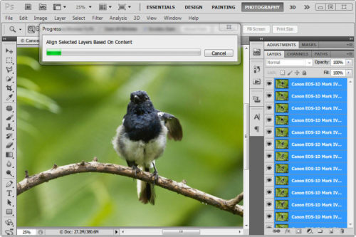 Click to enlarge Aligning Layers