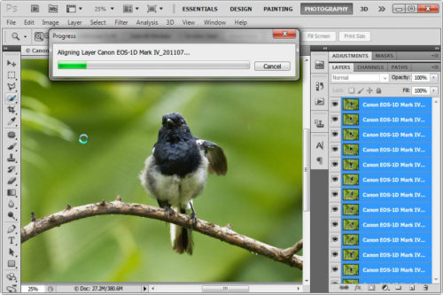Click to enlarge Aligning Layers