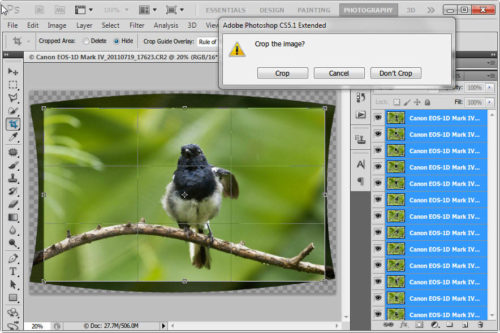 Click to enlarge Cropping the edges