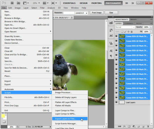Click to enlarge Scripts to export layers to files