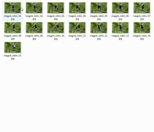 Click to enlarge Layers exported as JPEG files