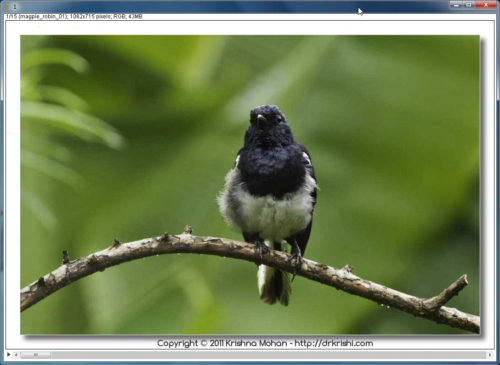 Click to enlarge Imported images as video