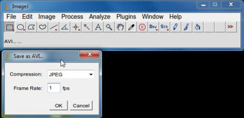Click to enlarge AVI frame rate setting